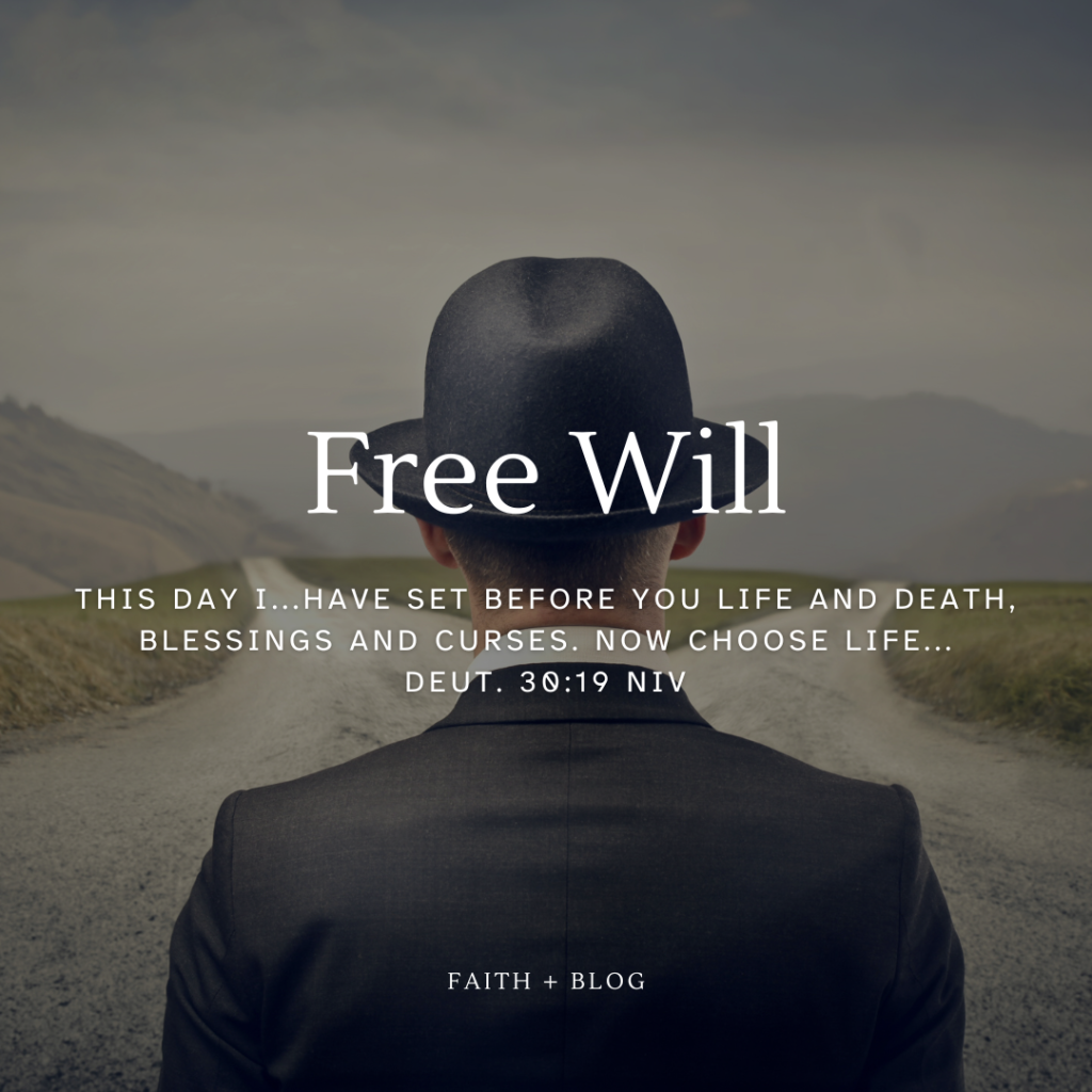 Free Will 